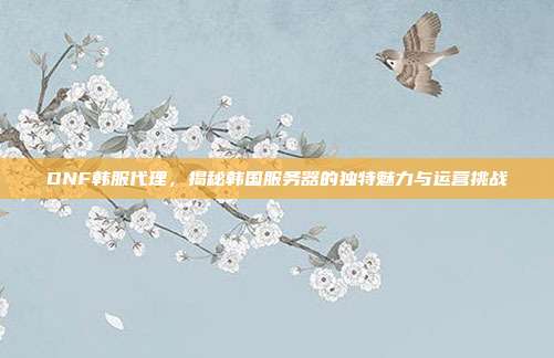DNF韩服代理,揭秘韩国服务器的独特魅力与运营挑战