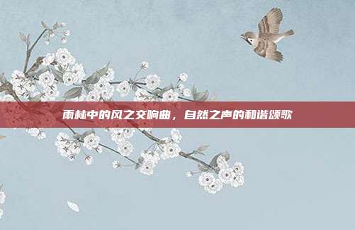 雨林中的风之交响曲,自然之声的和谐颂歌