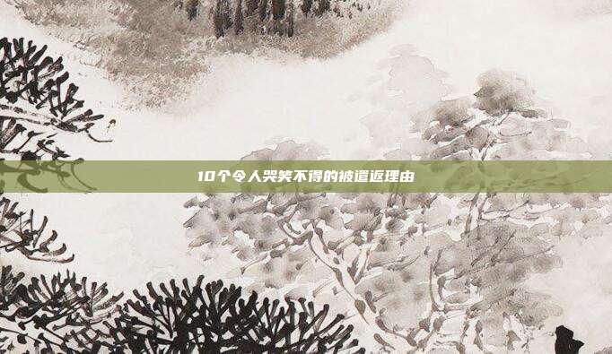 10个令人哭笑不得的被遣返理由