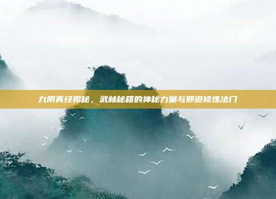 九阴真经揭秘,武林秘籍的神秘力量与邪道修炼法门