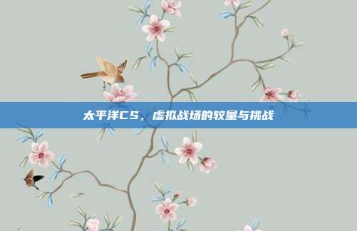 太平洋CS,虚拟战场的较量与挑战
