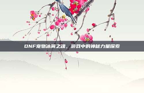 DNF宠物冰翼之魂,游戏中的神秘力量探索