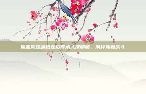 流星蝴蝶剑枪连招传承武侠精髓,演绎流畅战斗