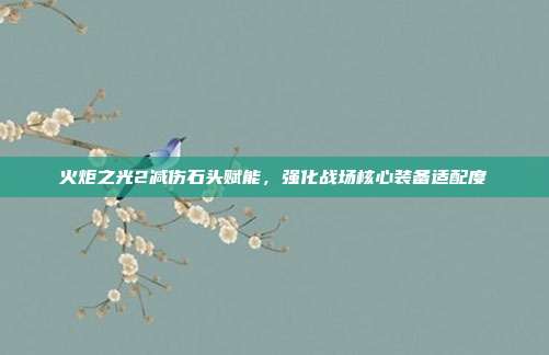 火炬之光2减伤石头赋能,强化战场核心装备适配度