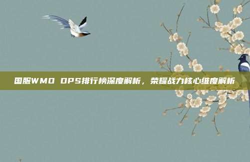 国服WMO DPS排行榜深度解析,荣耀战力核心维度解析