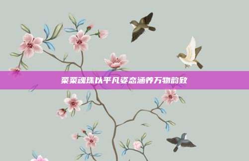 菜菜魂珠以平凡姿态涵养万物韵致