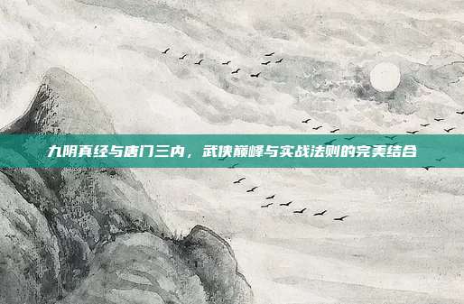 九阴真经与唐门三内,武侠巅峰与实战法则的完美结合