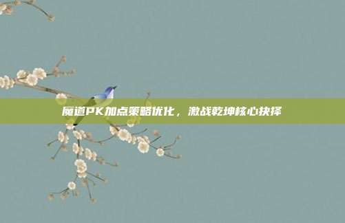 魔道PK加点策略优化,激战乾坤核心抉择