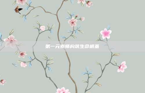 第一元素师构筑生命根基