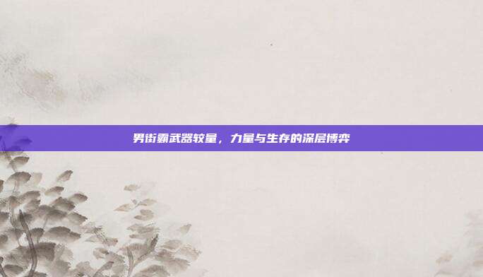 男街霸武器较量,力量与生存的深层博弈