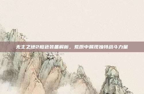 无主之地2橙色装备解析,荒原中展现独特战斗力量
