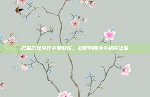 冠军篮球经理全屏解析,战略到落地全路径详解