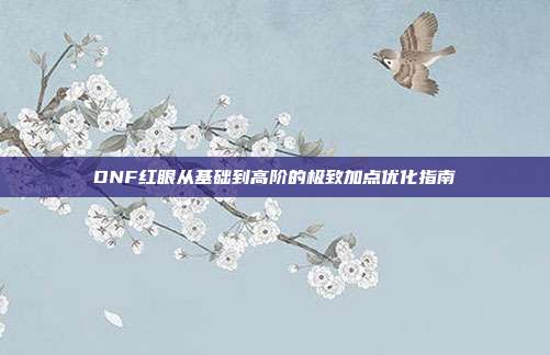 DNF红眼从基础到高阶的极致加点优化指南