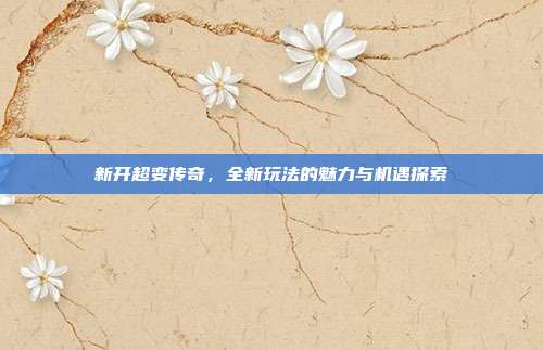 新开超变传奇,全新玩法的魅力与机遇探索