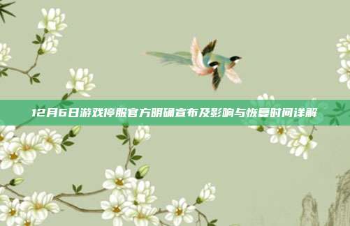 12月6日游戏停服官方明确宣布及影响与恢复时间详解