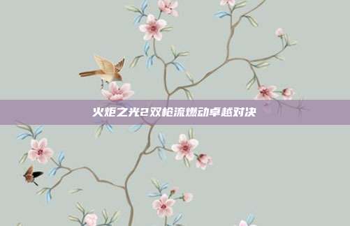 火炬之光2双枪流燃动卓越对决
