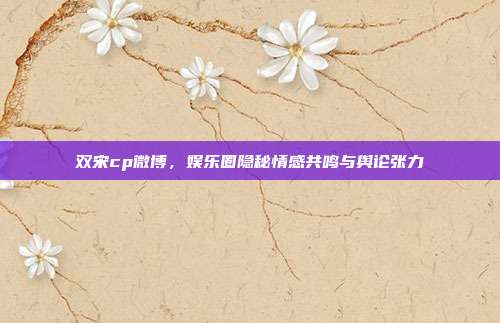 双宋cp微博,娱乐圈隐秘情感共鸣与舆论张力
