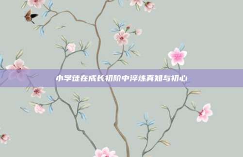 小学徒在成长初阶中淬炼真知与初心
