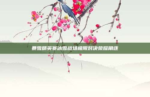 暴雪精英赛冰雪战场极限对决荣耀角逐
