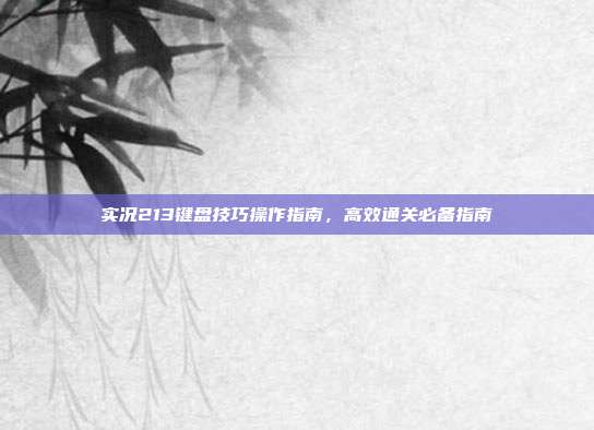 实况213键盘技巧操作指南,高效通关必备指南