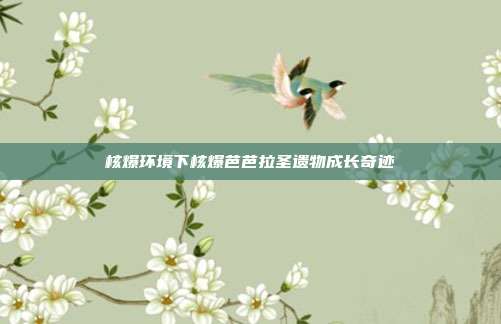 核爆环境下核爆芭芭拉圣遗物成长奇迹
