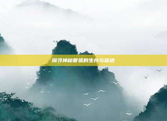 探寻神秘管狐的生存与踪迹