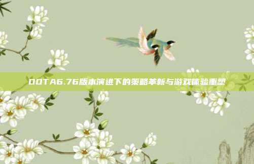 DOTA6.76版本演进下的策略革新与游戏体验重塑