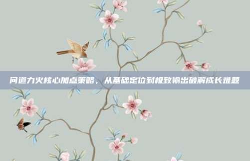 问道力火核心加点策略,从基础定位到极致输出破解成长难题