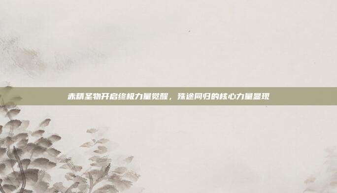 赤精圣物开启终极力量觉醒,殊途同归的核心力量显现