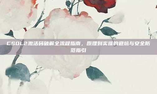 CSOL2激活码破解全流程指南,原理到实操的避坑与安全防范指引