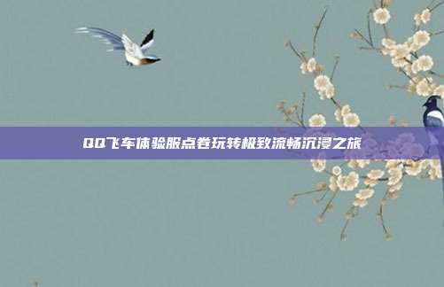 QQ飞车体验服点卷玩转极致流畅沉浸之旅