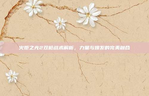 火炬之光2双枪战术解析,力量与爆发的完美融合