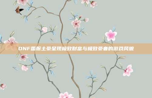 DNF国服土豪呈现极致财富与极致豪奢的游戏风貌