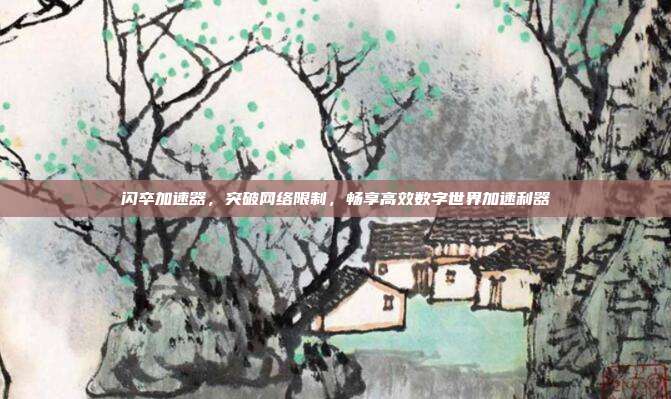 闪卒加速器,突破网络限制,畅享高效数字世界加速利器