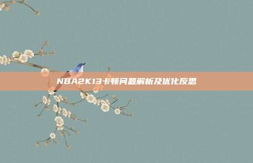 NBA2K13卡顿问题解析及优化反思