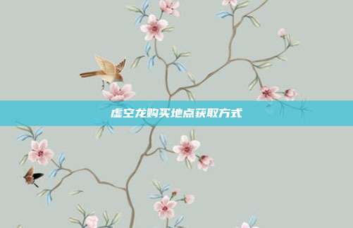 虚空龙购买地点获取方式
