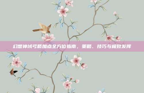 幻想神域弓箭加点全方位指南,策略、技巧与极致发挥