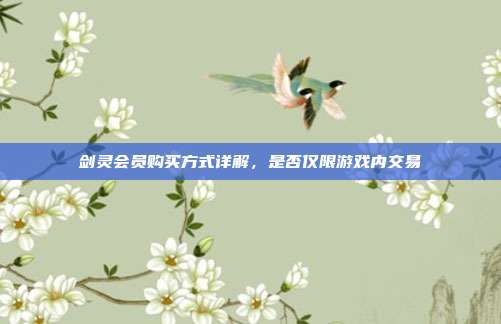 剑灵会员购买方式详解,是否仅限游戏内交易