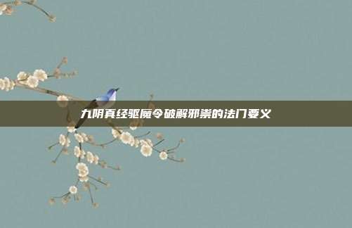 九阴真经驱魔令破解邪祟的法门要义