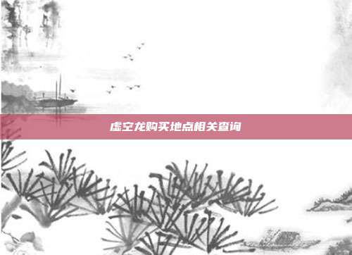 虚空龙购买地点相关查询