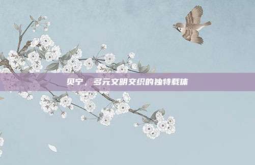 贝宁,多元文明交织的独特载体