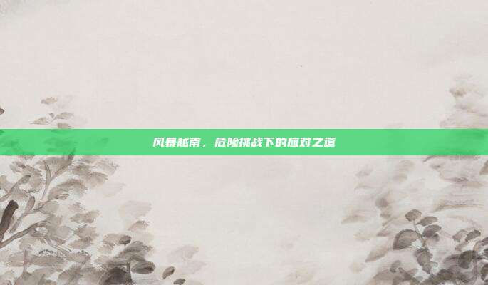 风暴越南,危险挑战下的应对之道