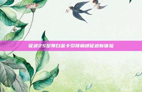 征途2S至尊白金卡引领巅峰征途新体验