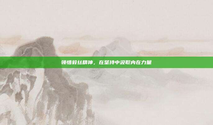 领悟毅丝精神,在坚持中汲取内在力量