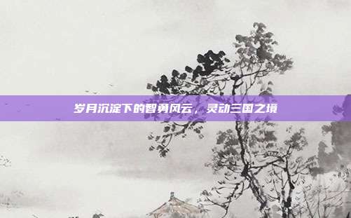 岁月沉淀下的智勇风云,灵动三国之境