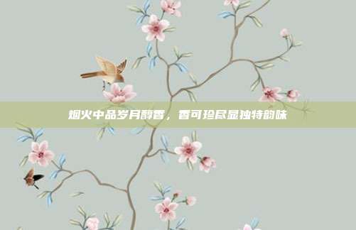 烟火中品岁月醇香,香可珍尽显独特韵味