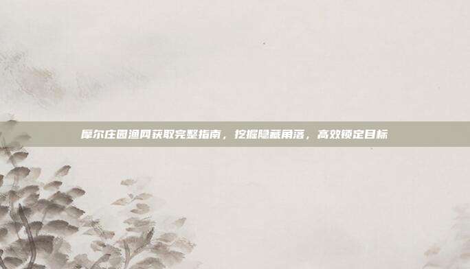 摩尔庄园渔网获取完整指南,挖掘隐藏角落,高效锁定目标