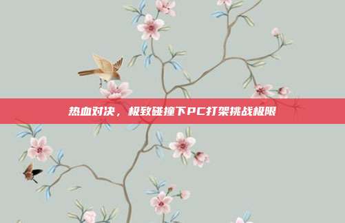 热血对决,极致碰撞下PC打架挑战极限