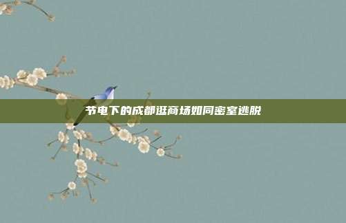 节电下的成都逛商场如同密室逃脱