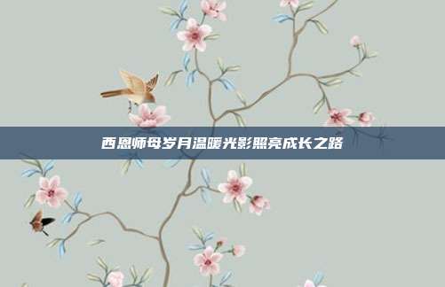 西恩师母岁月温暖光影照亮成长之路
